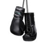 Boutiq boxing Gloves