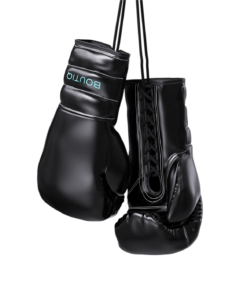 Boutiq boxing Gloves